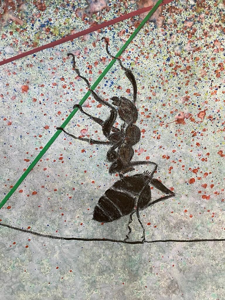 Insectário - Detalhe formiga